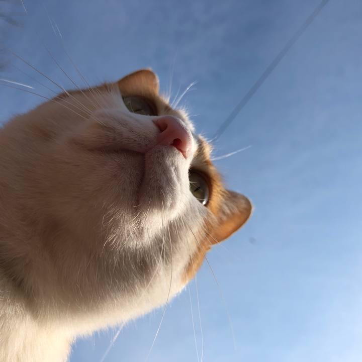 37d1037d 59ea 4469 a7a0 b76dd3f0fe91 1551605308308