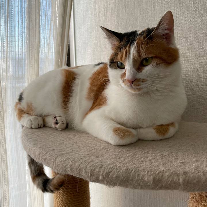 37d10802 51a5 4255 b174 7b35c5efe60c 1608089534762