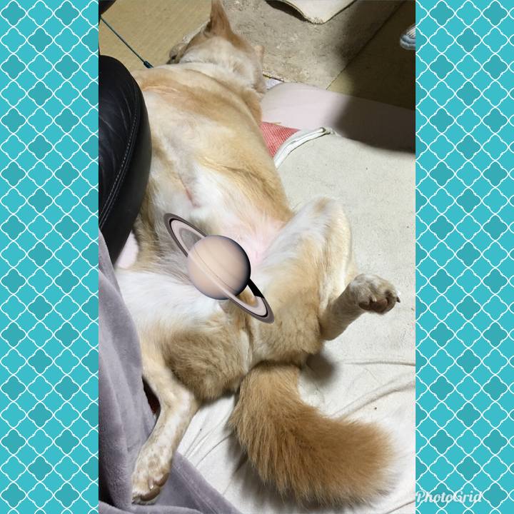 37d125e4 7354 4341 88d2 729a99c81312 1525791423800