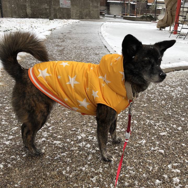 37d12fa0 ae71 4eaf 8d1d eae7caba8d14 1613623585592