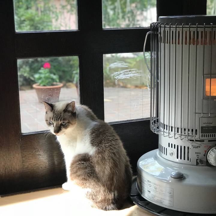 37d1568f 470e 4b6c a6fc 9f6669d95c76 1511074415578