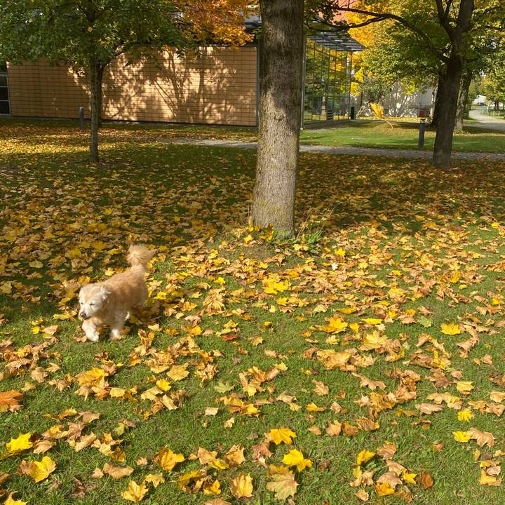 37d168de fe1c 4513 85f6 7bb49a03c189 1760364861958