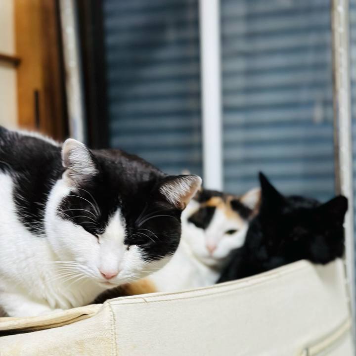 37d181d5 fa7b 4874 8582 8fd1536123a6 1675992943537