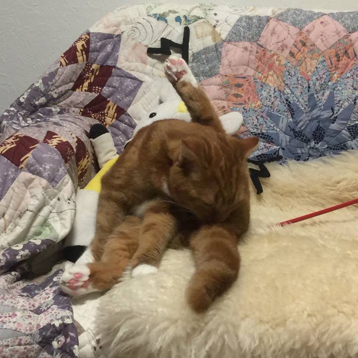 37d1b274 0c91 4d12 b785 6c3f93c8b4c8 1533859521612