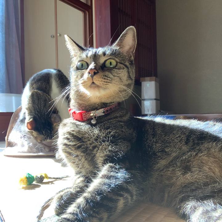 37d244db 47f1 4f4c 8998 c268178e17d0 1573610218883