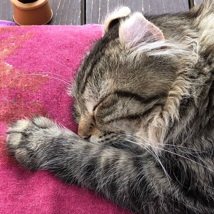 37d270cb 8ea2 4dca 805d ceeec67b4754 1529898069231