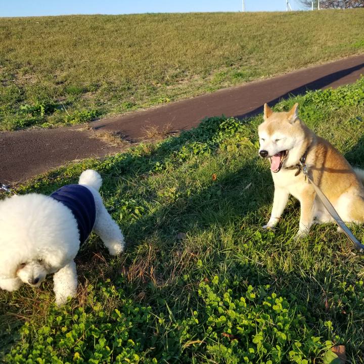 37d28dab 5805 498c 9d11 5ea989469a53 1699512945152