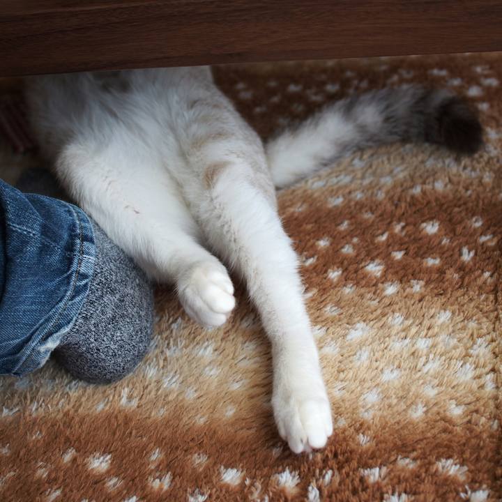 37d2bc03 be4c 4cd9 bc6a e169d48d5983 1516872805829