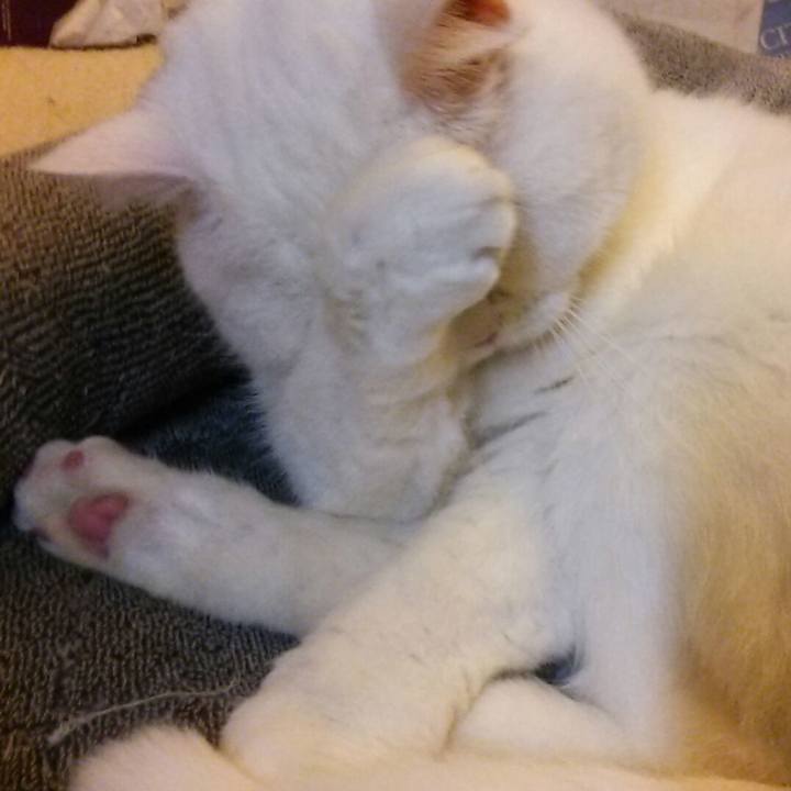 37d2bd23 b84e 4167 9aa8 afb40ad1284e 1521068431367