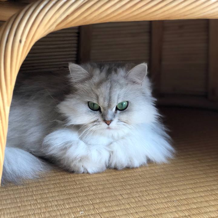 37d2c339 6ba4 4062 9376 adaaacaf200b 1555885968744