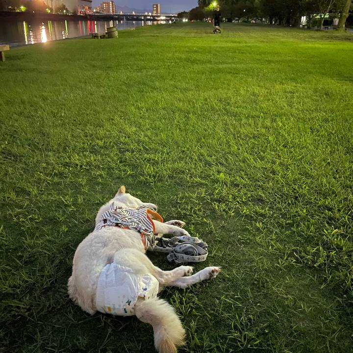 37d2ccf5 5a60 4645 a89d 02e3c662c5a1 1664190340060