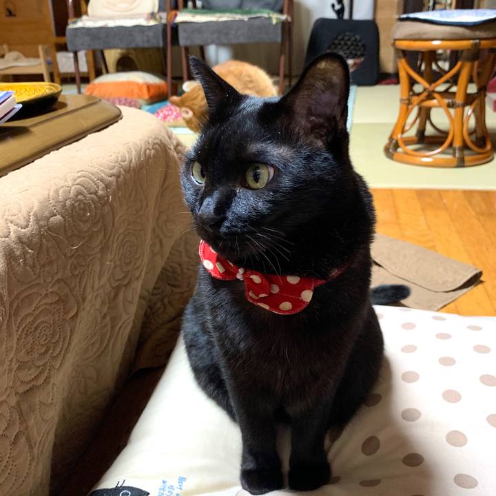 37d2e64b 9dc1 4f11 9019 67589d5e11d6 1588853456124