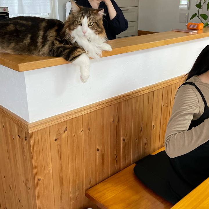 37d2f5e6 cd46 4c65 9e60 ad327ff722d0 1649885968060