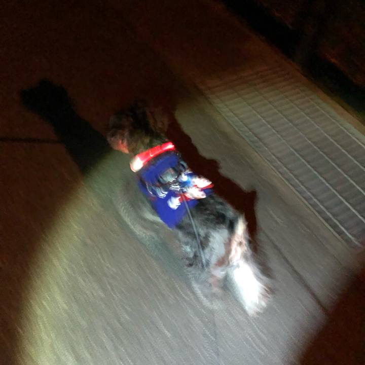 37d31a05 26ba 4080 961f f17d4cf612b1 1637234749116