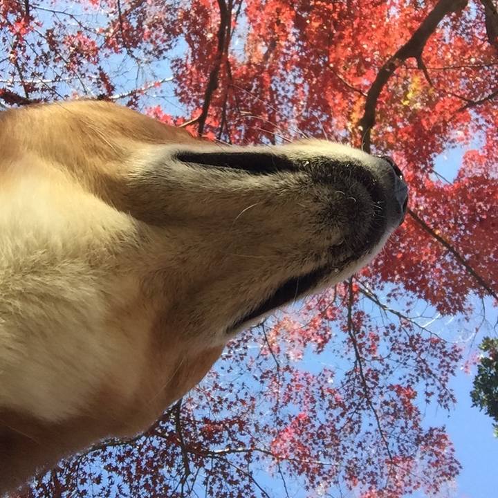 37d34a72 839b 4679 becd 4ee6ac5bc18b 1638623420432