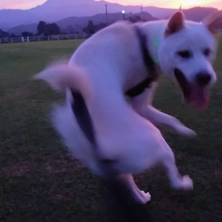 37d38a78 9bff 4524 a4b9 1b69a0a95d1f 1534855597778