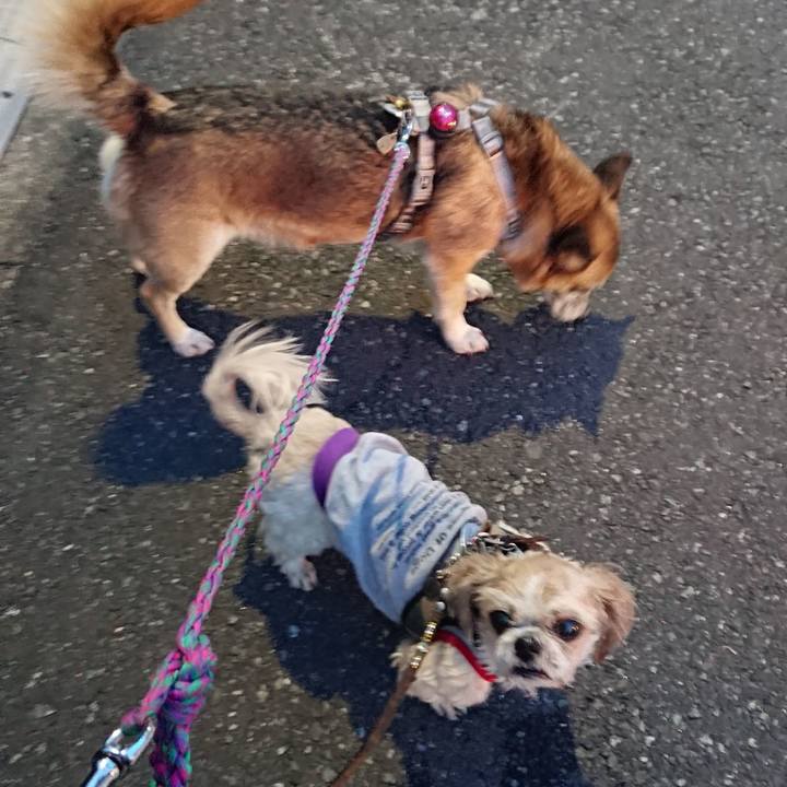 37d39176 b695 4b71 87d4 4c639325a4cb 1521037783963