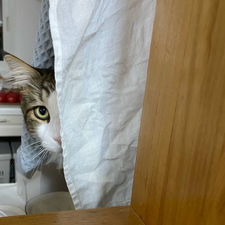 37d399fd 732e 44ef a2b1 f2c2d7971dda 1686426376720