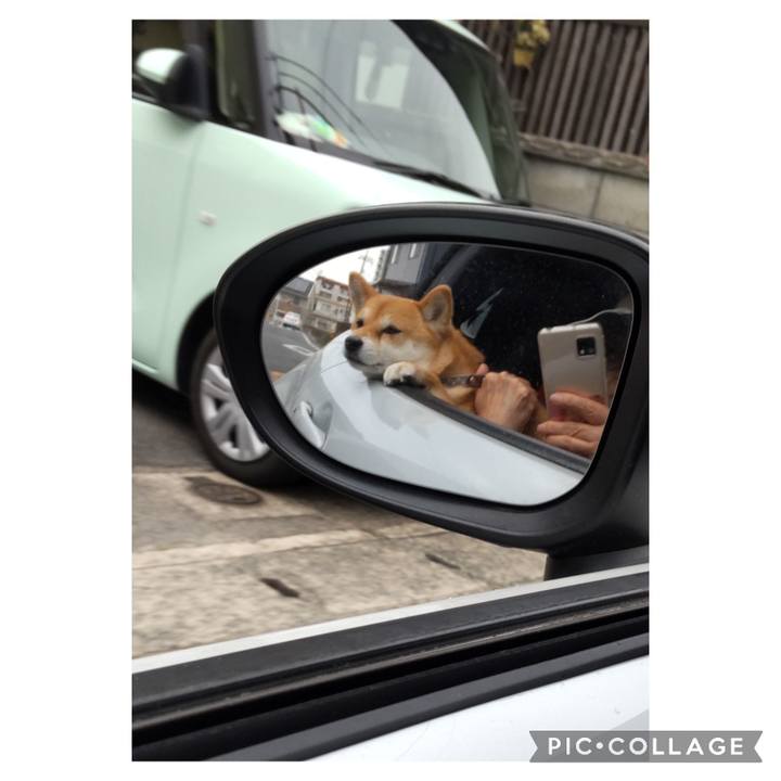 37d3ca78 4ea6 4df7 9477 a97796f86e1c 1714367738870