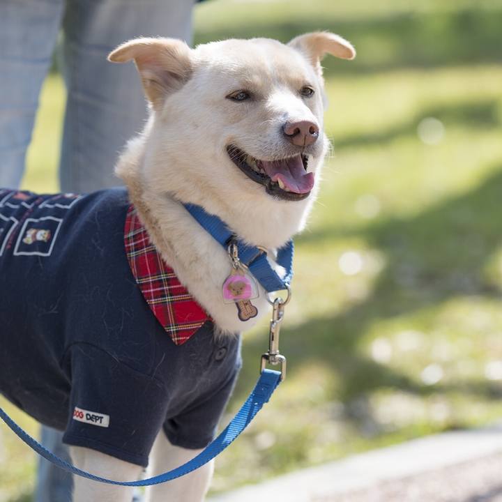 37d3f435 0944 4f7d 969b 5e56dac496ab 1552040430253