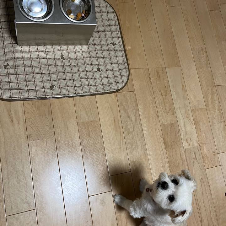 37d4112f 02d4 4299 8d80 a23bafa7f769 1654142637990