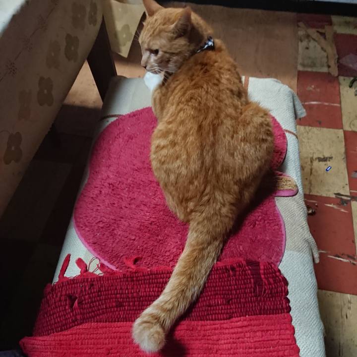 37d41e35 be20 4411 8b35 f256c490ae64 1568717618396