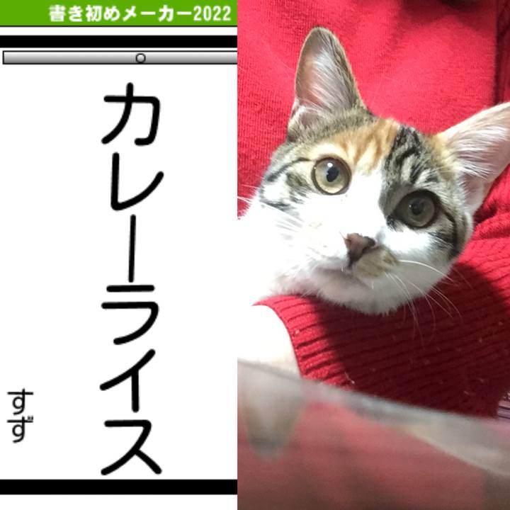 37d467ff e189 4918 a4a7 2d49ff8aeb5d 1641271304019