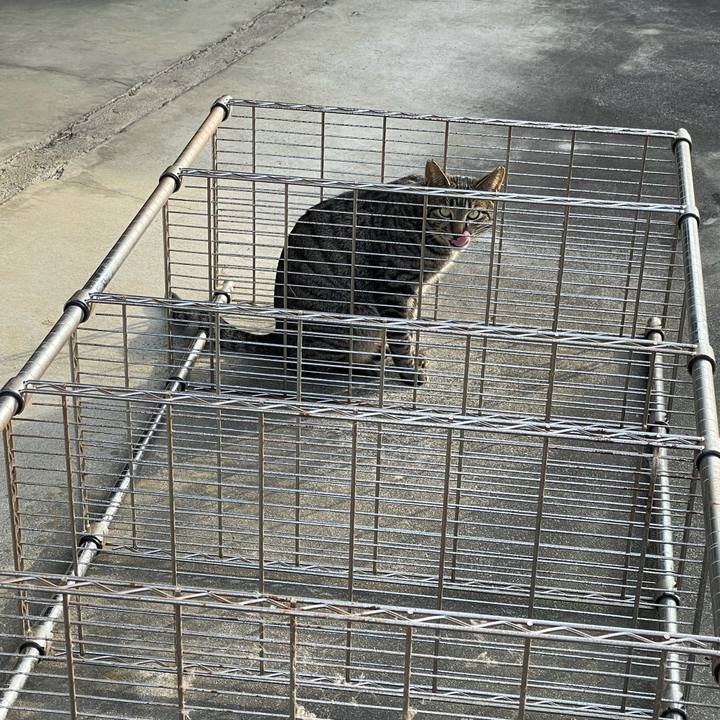 37d48605 b08f 42a0 b678 cc38ee27bdf0 1680597611808