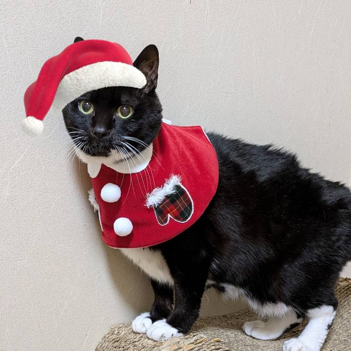 37d4a01f a131 4571 8af8 0c377461ef87 1766704006167