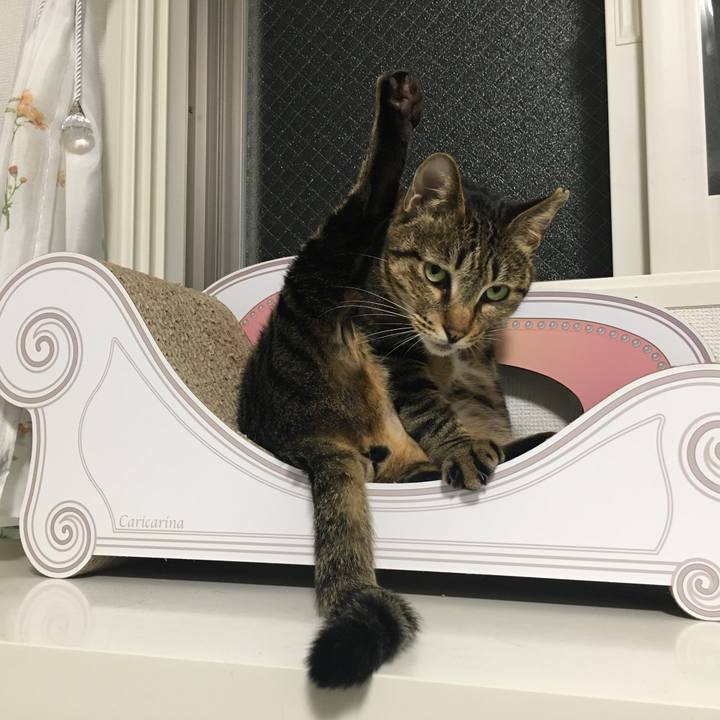 37d4fbde 3ae7 4b02 bb6c dea58328d990 1556636684042