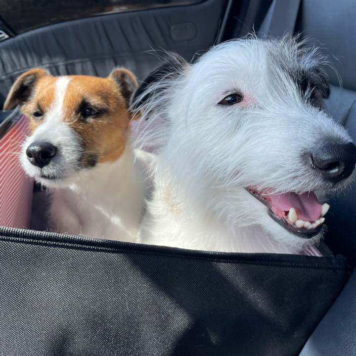 37d5758d e550 4451 be91 edfdb2ddebbc 1649554438370