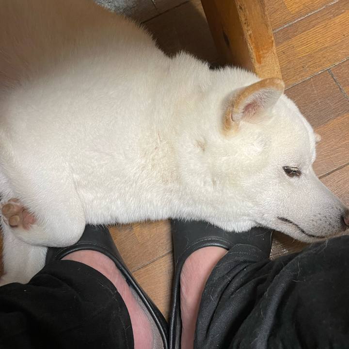 37d6599e 94e3 4184 9133 6c7534b4dec7 1661946030946