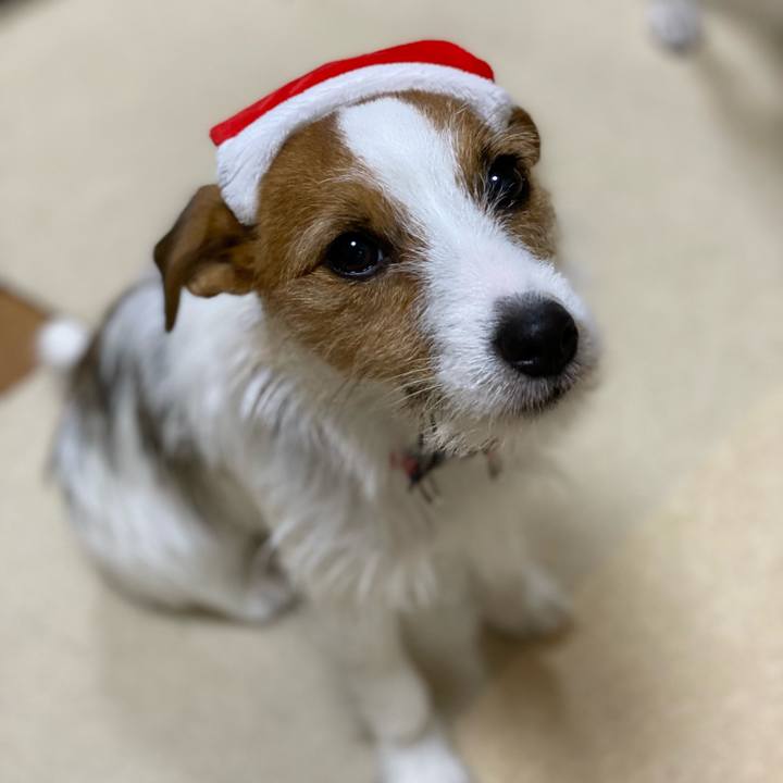 37d68403 0b29 4127 a0c9 943b19f8fbe4 1640393138155