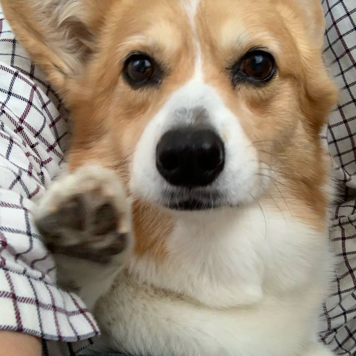 37d69e2b 6794 4365 b7f3 4ea17865602f 1678335560699