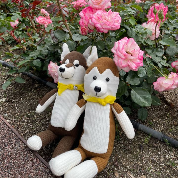 37d6d932 1030 491f 91c2 032495ea88a1 1652613947984