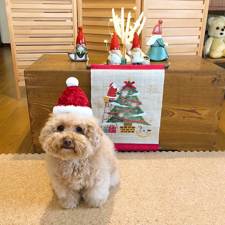 37d6ea34 d482 4922 85e1 179fadf2e7dc 1514180348978