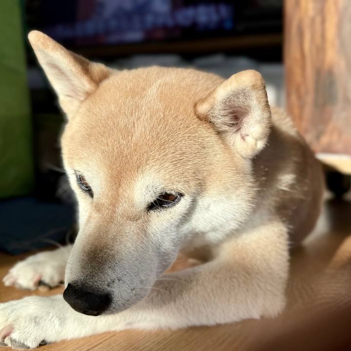 37d6ed0c a2b1 4ac9 9cd8 54cca78b9d76 1762910501558