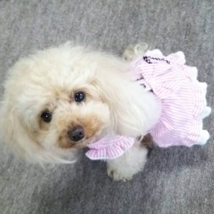 37d72dff a04c 4c77 93e6 b4a25781d854 1528716766801