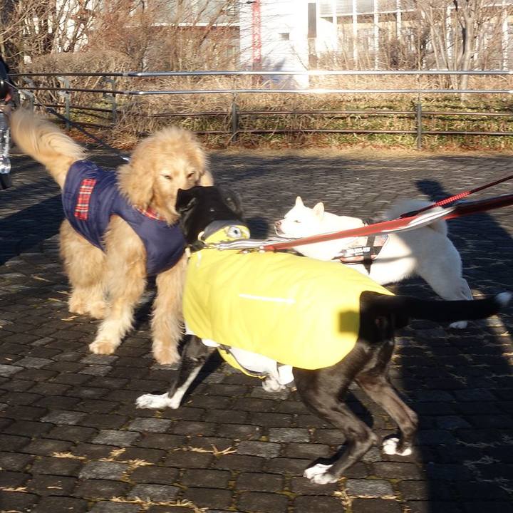 37d76cab 9369 4fb5 9030 62718f199485 1738627438129