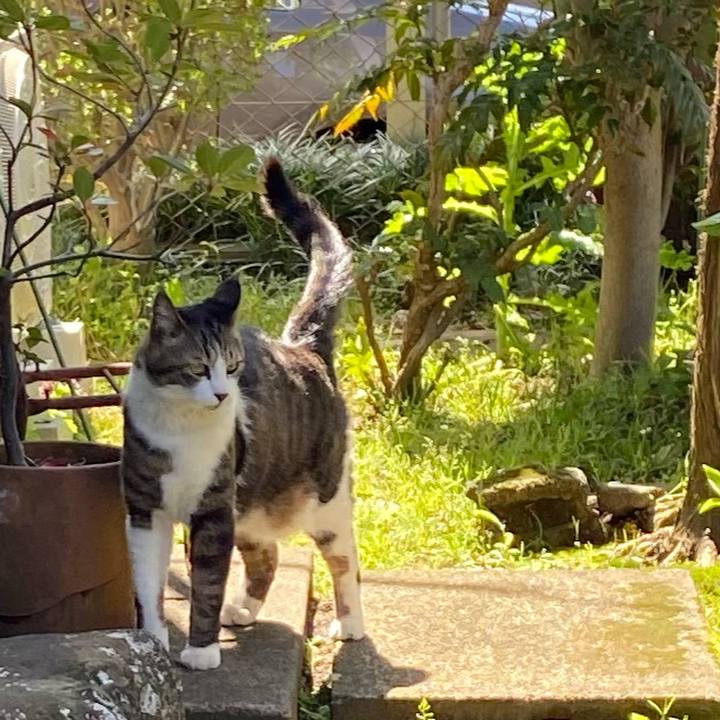 37d791f0 83a4 4993 8711 2d5877ee8111 1586840248656