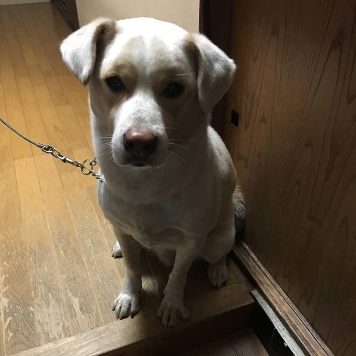 37d7a77b fcf6 4a96 be71 ee5456893b06 1516790429679