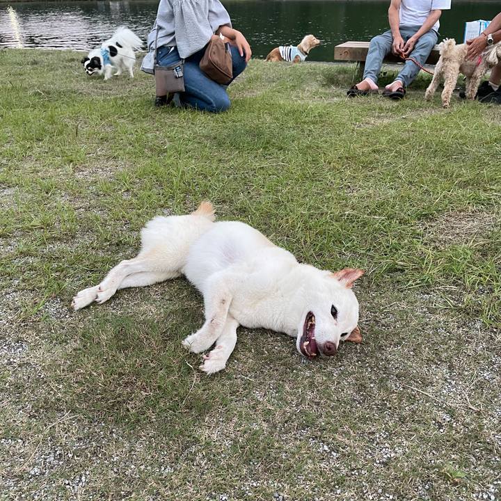 37d7c324 e448 46ca 8205 d5ba3eaa4611 1658671388365