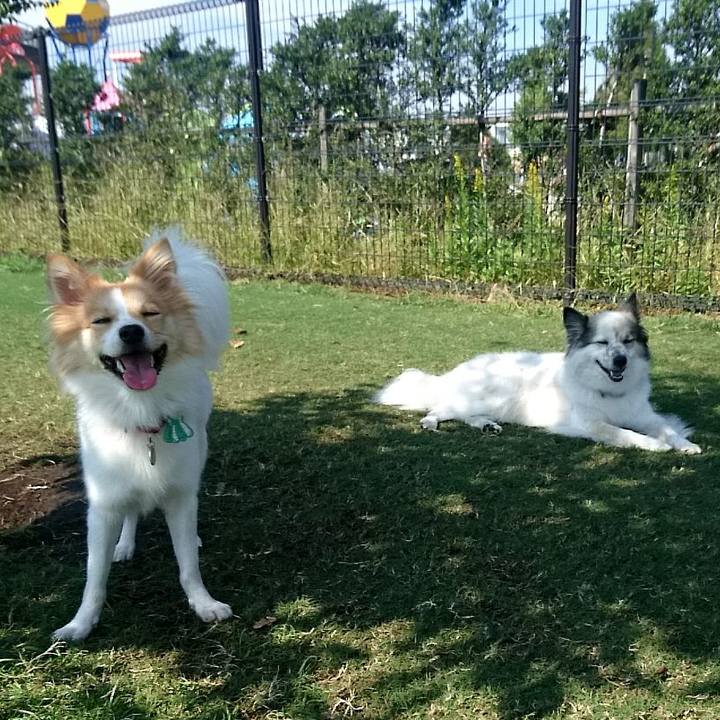 37d7d1ab 4a80 42a1 a977 282883b1b28c 1509019346347