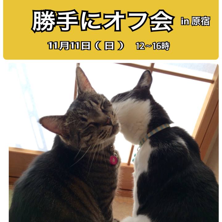 37d80427 6cba 4125 b64e 9dc20295abc0 1539091042265