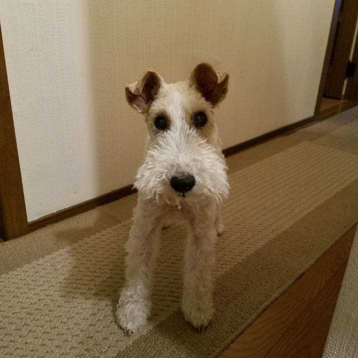 37d85260 bd37 41c8 9b7d 9d40d717b272 1529321643872