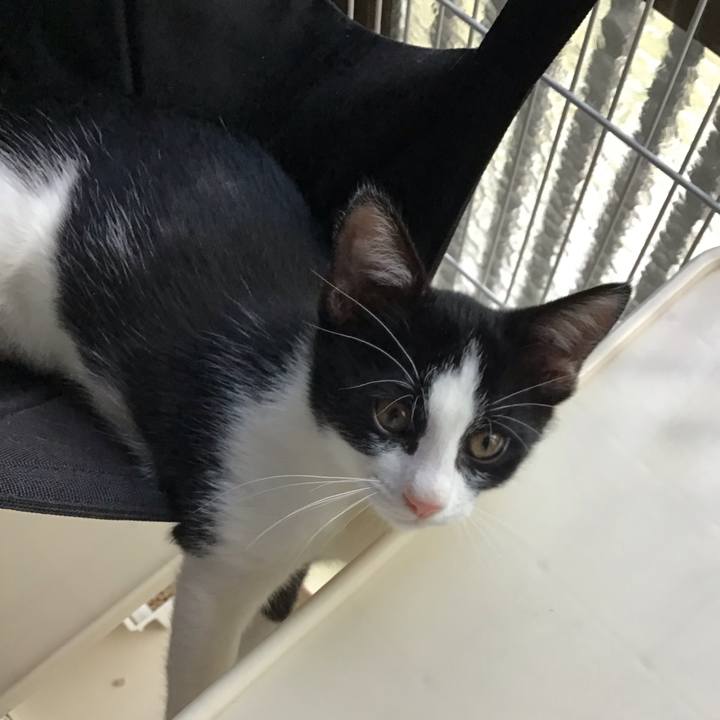 37d87368 6caa 46ad aa77 b5958e5ddafe 1626420895298