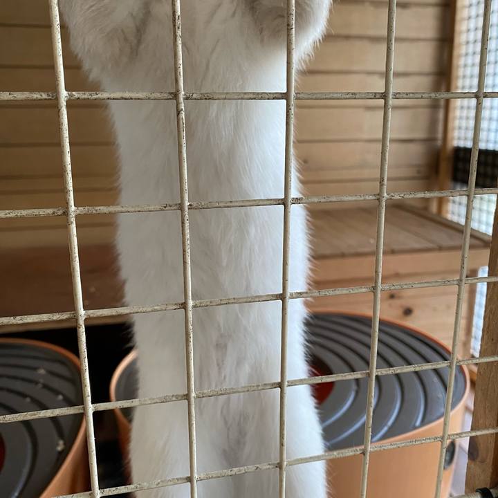 37d88387 72ca 4689 8b46 bb821512065d 1634085731116