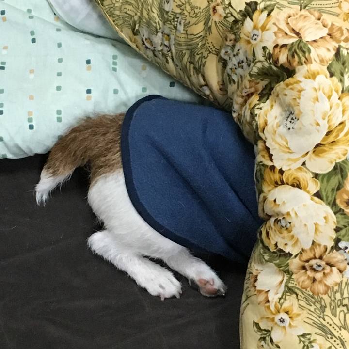 37d89055 c8e5 46df aba2 ad0704d4e198 1551190540135