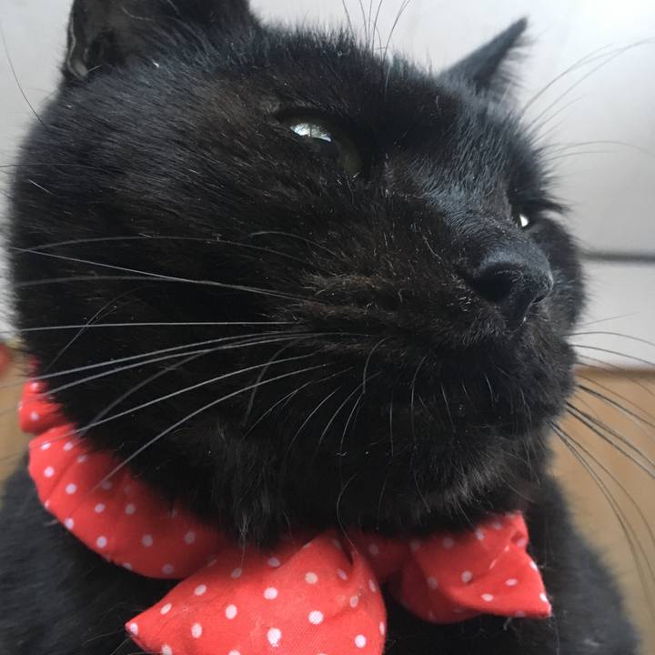 37d8a490 eec0 4b6f 9aa5 e0489c7e6f54 1550916135987