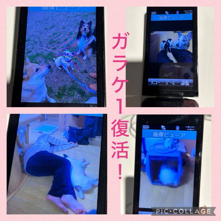 37d8a91e 5cee 47b6 8fcd 9d1877c7e6a4 1726270401742